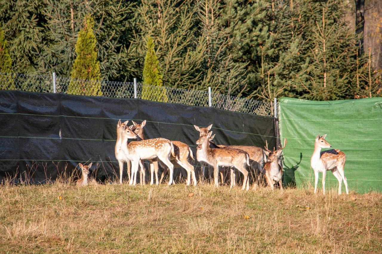 Grand Tatry - Miejsce Na Wyjatkowy Pobyt Dla Ciebie I Twojej Rodziny! - Sauna I Jacuzzi Wliczone W Cene Pobytu -10 Minut Pieszo Od Term Bania Białka Tatrzańska Exterior foto