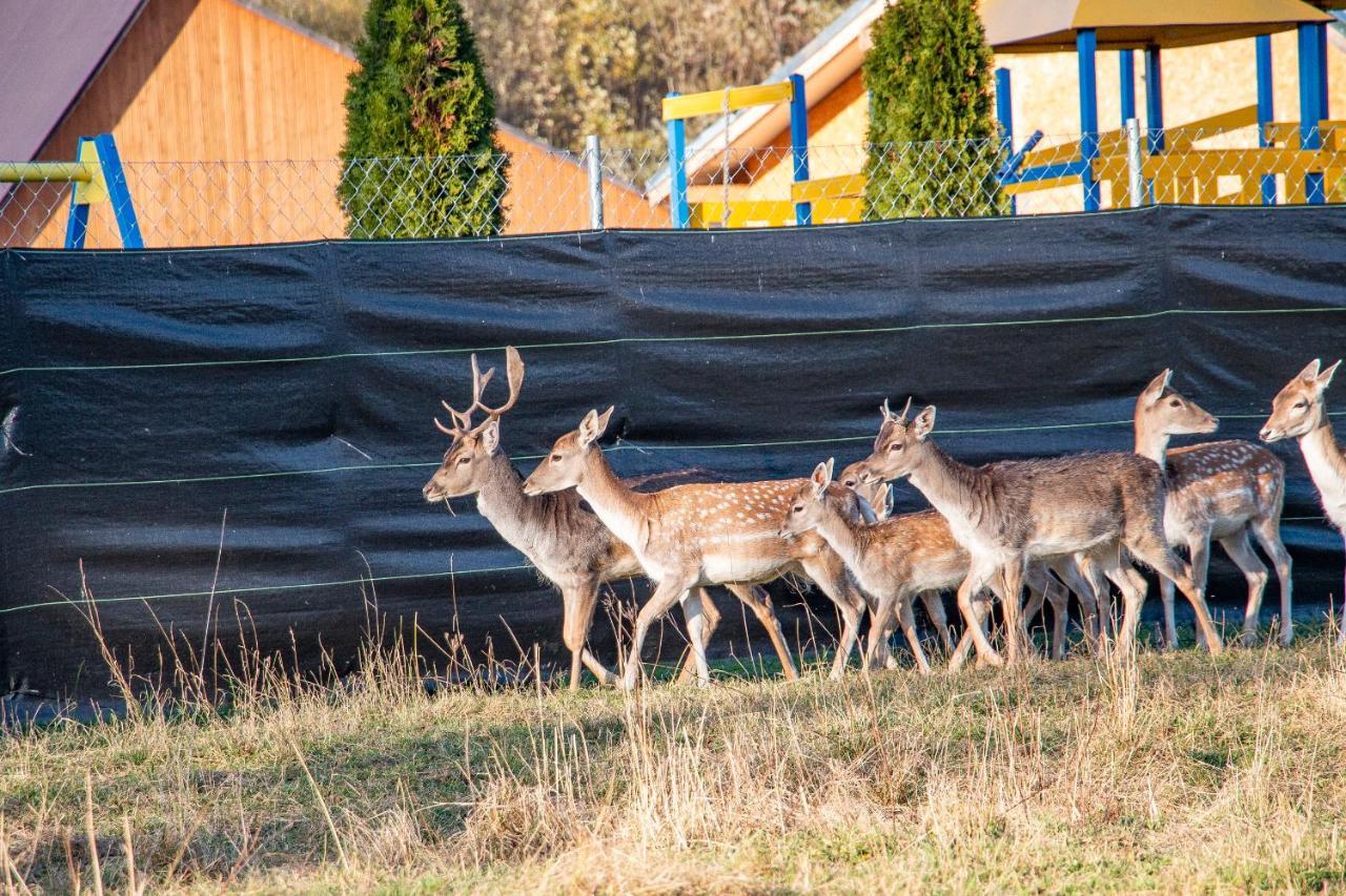 Grand Tatry - Miejsce Na Wyjatkowy Pobyt Dla Ciebie I Twojej Rodziny! - Sauna I Jacuzzi Wliczone W Cene Pobytu -10 Minut Pieszo Od Term Bania Białka Tatrzańska Exterior foto